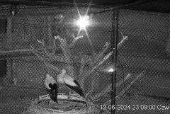 IMG_8783.jpeg