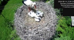 IMG_9014.jpeg