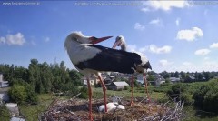 IMG_9078.jpeg