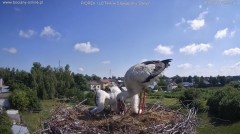 IMG_9086.jpeg