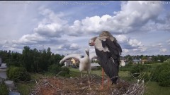 IMG_9063.jpeg