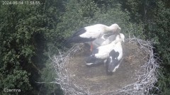 IMG_8981.jpeg