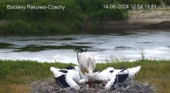 IMG_9103.jpeg