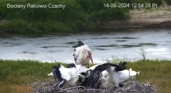 IMG_9106.jpeg