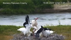 IMG_9107.jpeg