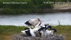 IMG_9113.jpeg
