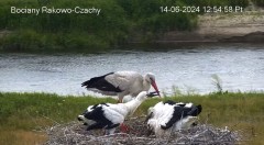 IMG_9114.jpeg