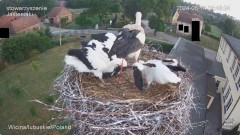 IMG_5003.jpeg