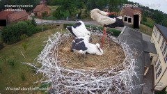 IMG_5074.jpeg