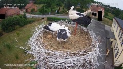 IMG_5076.jpeg