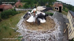 IMG_5077.jpeg