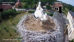 IMG_5083.jpeg