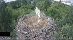 IMG_9129.jpeg