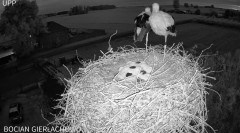 IMG_9207.jpeg