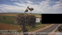 IMG_5196.jpeg