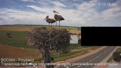 IMG_5197.jpeg