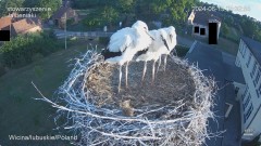 IMG_5122.jpeg