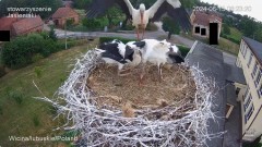 IMG_5127.jpeg