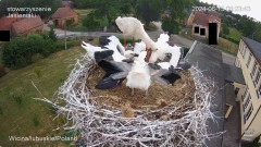 IMG_5129.jpeg