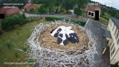 IMG_5208.jpeg