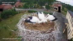 IMG_5215.jpeg