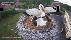 IMG_5223.jpeg