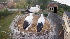 IMG_5239.jpeg