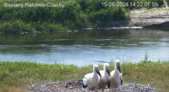 IMG_9365.jpeg