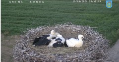 IMG_9416.jpeg