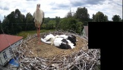2024-06-16 11_46_35-Aktualności - Zespół Szkół w Raniżowie – Maxthon.jpg