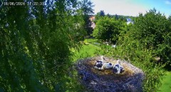 IMG_9566.jpeg