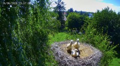 IMG_9583.jpeg