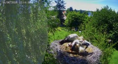 IMG_9595.jpeg