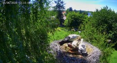 IMG_9596.jpeg