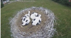 IMG_9538.jpeg