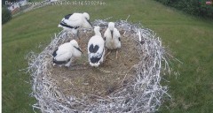 IMG_9554.jpeg