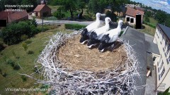 IMG_5371.jpeg