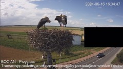 IMG_9738.jpeg