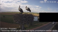 IMG_9743.jpeg