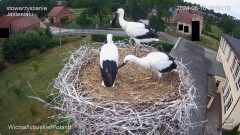 IMG_5420.jpeg