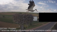 IMG_9754.jpeg