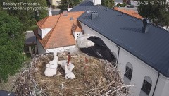 IMG_9713.jpeg