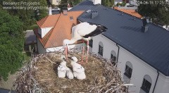 IMG_9724.jpeg