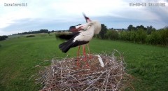 IMG_9782.jpeg