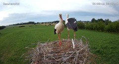 IMG_9783.jpeg