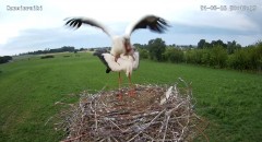 IMG_9784.jpeg