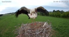 IMG_9785.jpeg