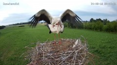 IMG_9786.jpeg