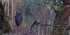 IMG_9804.jpeg