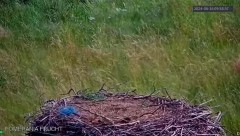 MWSnap 2024-06-16, 22_37_04.jpg